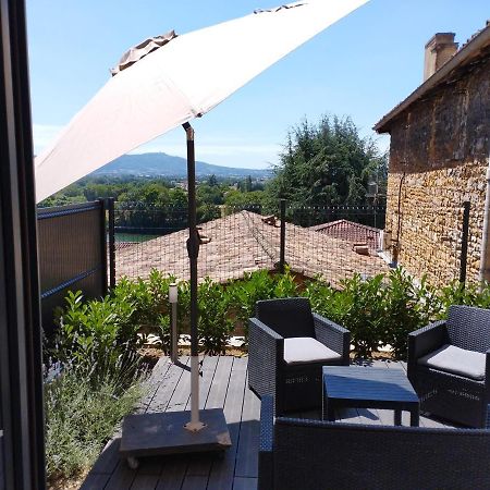 Trevoux: Loft Ravissant Avec Terrasse Lejlighed Eksteriør billede