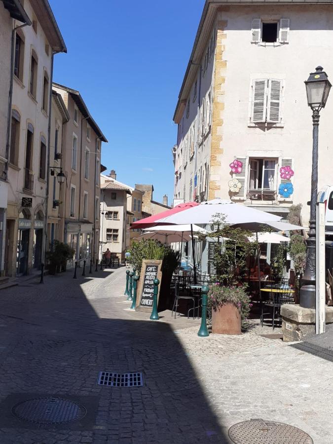 Trevoux: Loft Ravissant Avec Terrasse Lejlighed Eksteriør billede