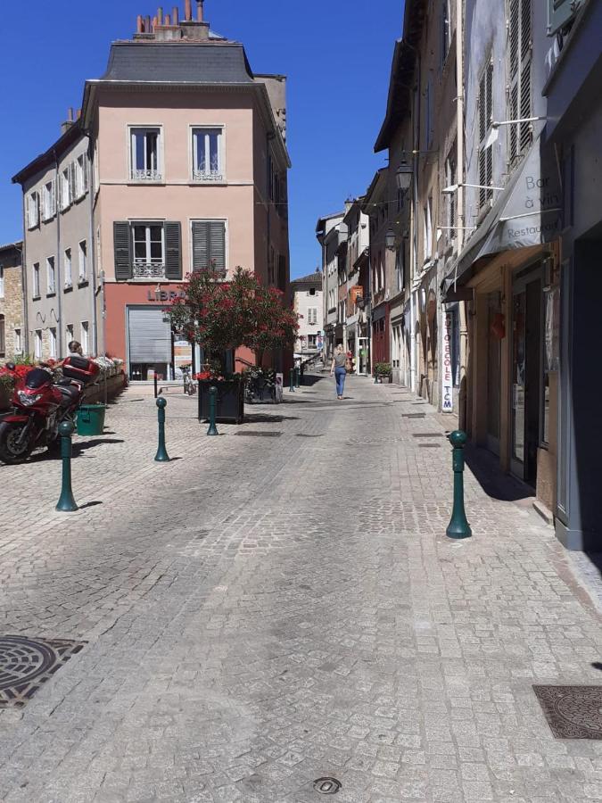 Trevoux: Loft Ravissant Avec Terrasse Lejlighed Eksteriør billede