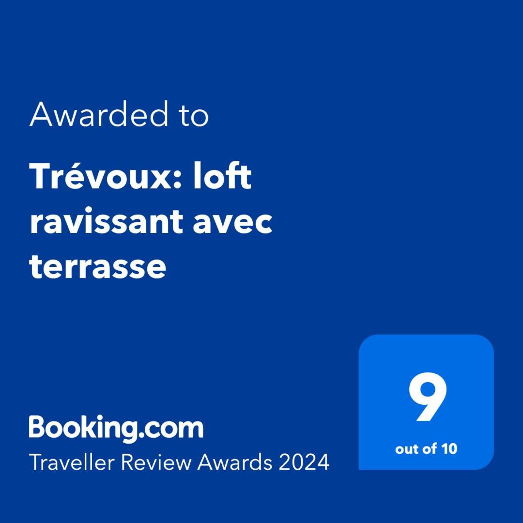 Trevoux: Loft Ravissant Avec Terrasse Lejlighed Eksteriør billede